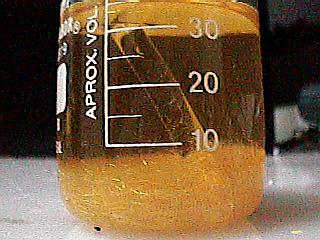 Potassium picrate crystals crushed on the bottom.